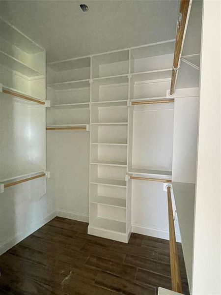 Spacious closet featuring dark hardwood / wood-style floors