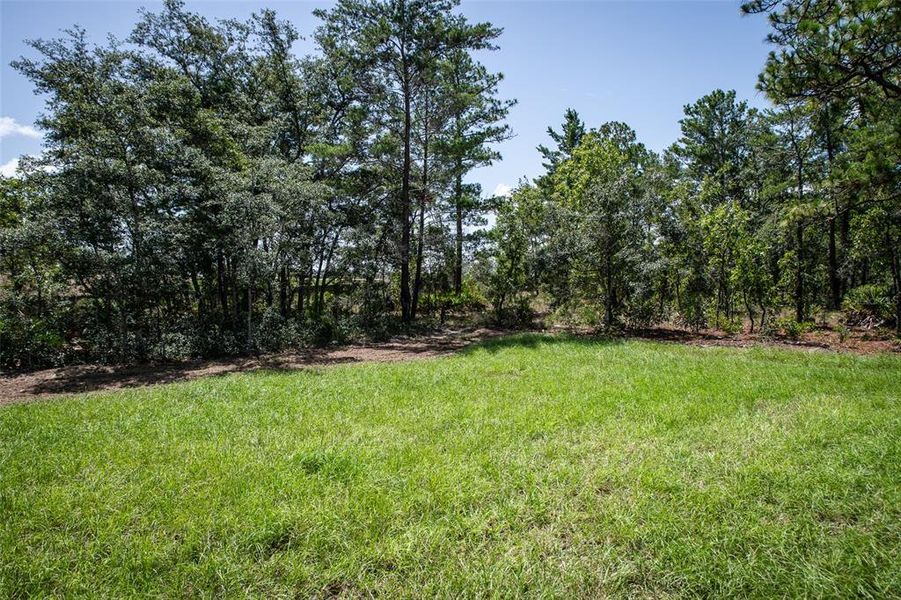 Natural landscape and outdoor views near  in Weeki Wachee (Image 36).