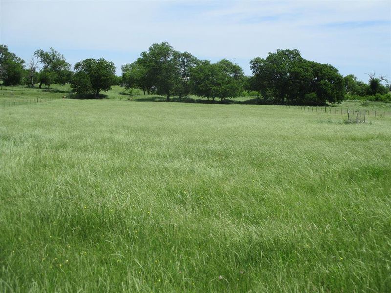 Natural landscape and outdoor views near  in Kaufman (Image 29).