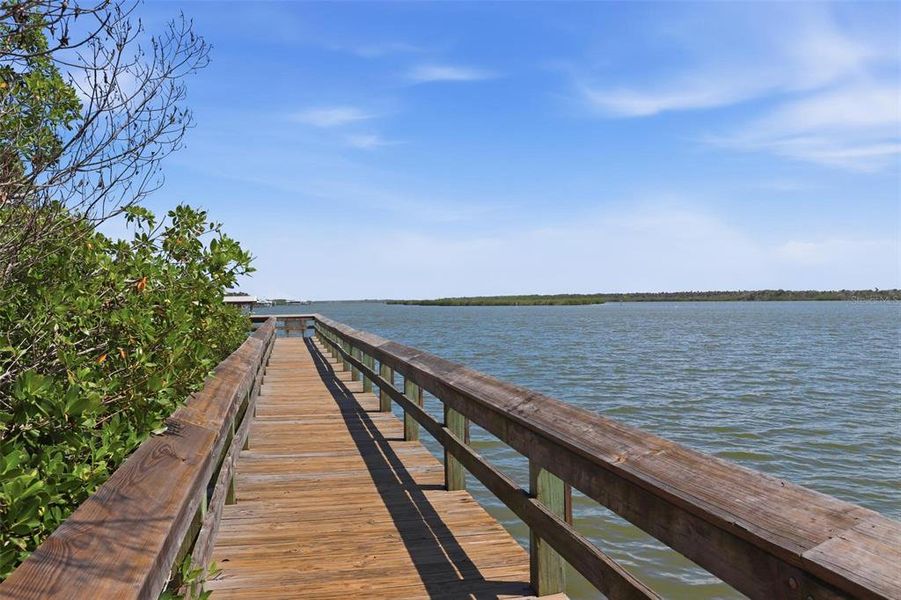Natural landscape and outdoor views near  in New Smyrna Beach (Image 49).
