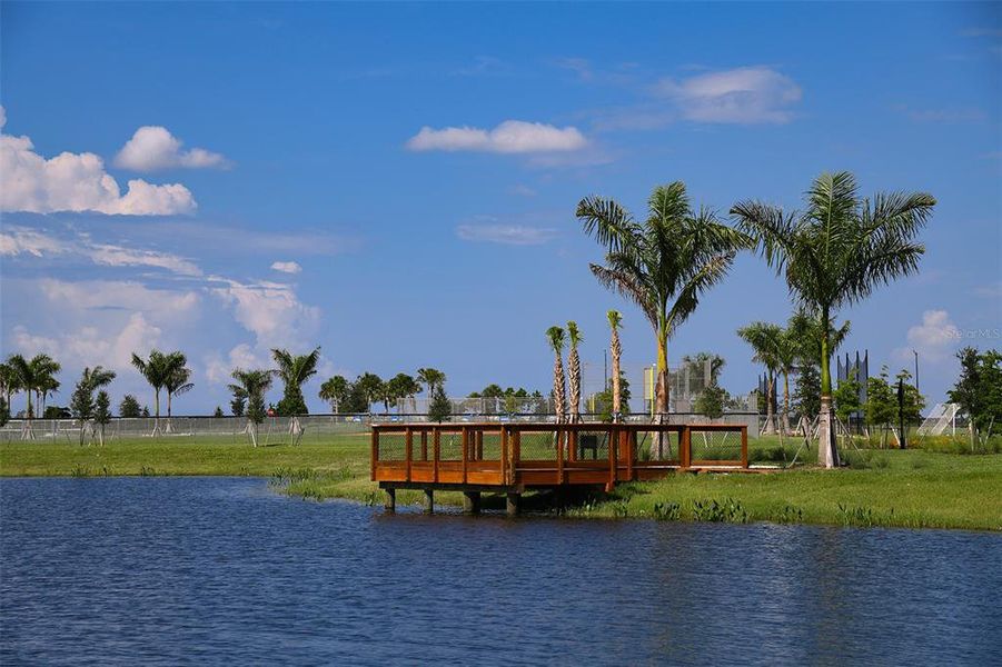 Community amenities in Skye Ranch Community Group Page, Sarasota (Image 24). Community amenities in Skye Ranch Community Group Page, Sarasota (Image 24).