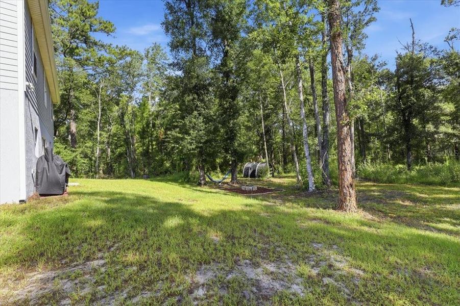 Natural landscape and outdoor views near Flagler Estates in Hastings (Image 59).