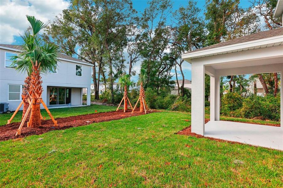 Rear Covered Lanai & View