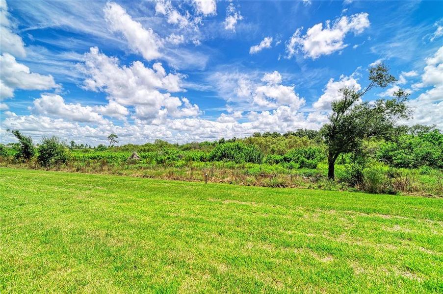 Natural landscape and outdoor views near in Lakewood Ranch (Image 40). Natural landscape and outdoor views near in Lakewood Ranch (Image 40).