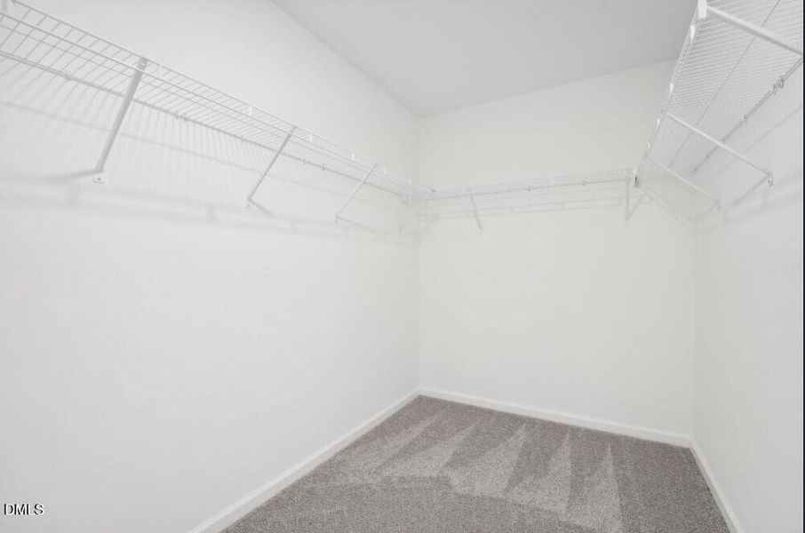 The Pulsar Walk In Closet