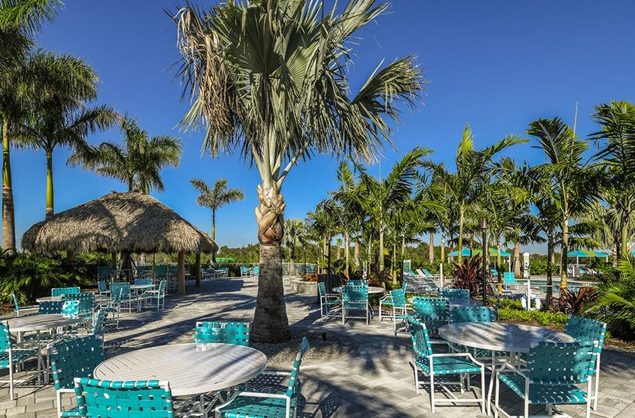 Community amenities associated with the Meadow Brook by Neal Communities in Boca Royale Golf & Country Club at Wellen Park, Englewood (Image 25).