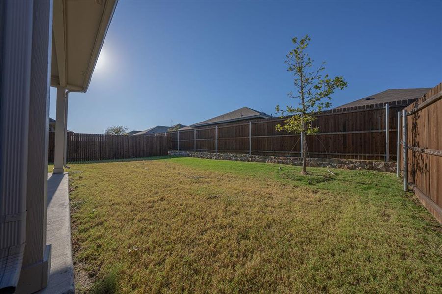 Exterior details and patio area of a home in Briarwood Hills - Highland Series, Forney (Image 24). Exterior details and patio area of a home in Briarwood Hills - Highland Series, Forney (Image 24).