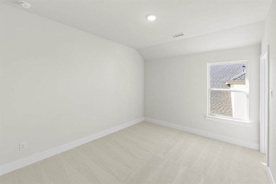 19. 3905 Mescalbean - Bed 2