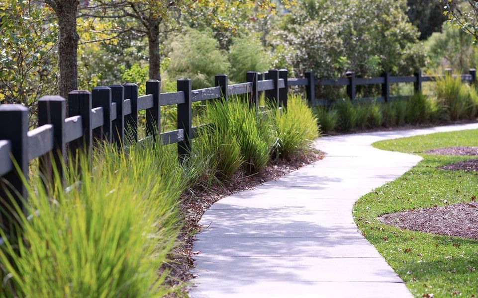 Natural landscape and outdoor views near  in Summerville (Image 65).
