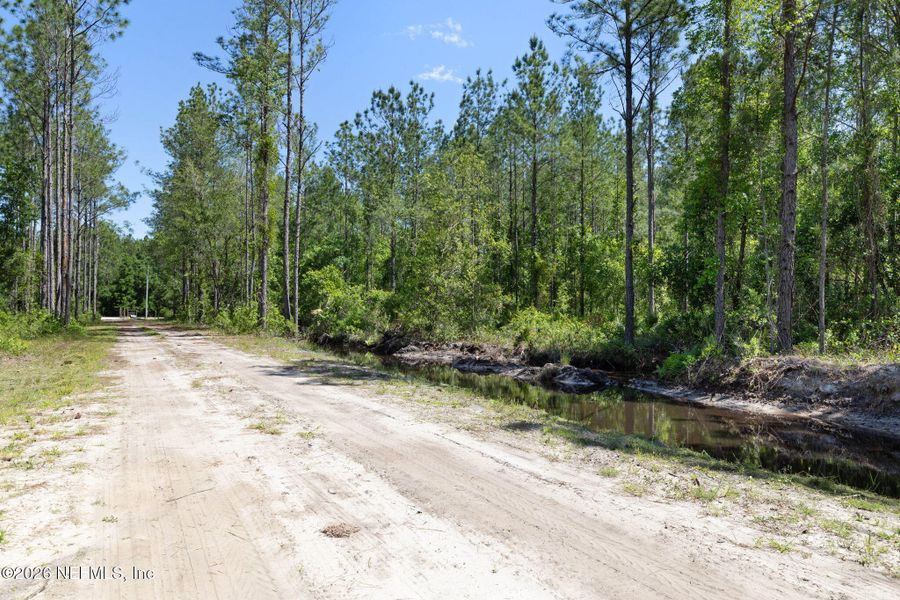 Natural landscape and outdoor views near  in Bunnell (Image 44).