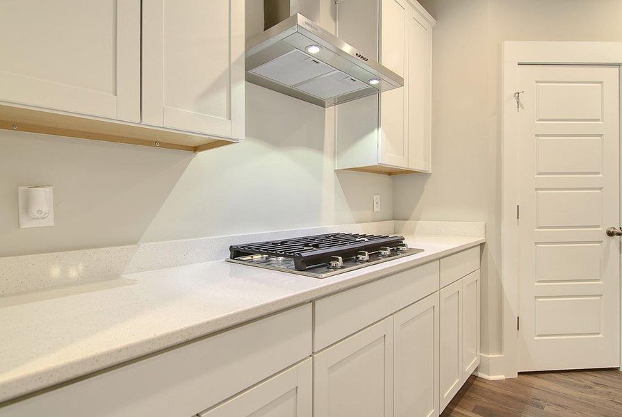 Close-up of interior finishes inside a home in Creek Pointe, Moncks Corner (Image 9).