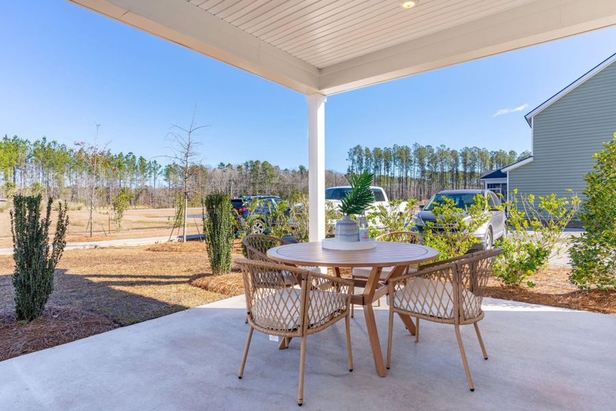 Exterior details and patio area of a home in Heron's Walk at Summers Corner, Summerville (Image 2).