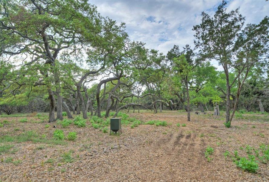 Natural landscape and outdoor views near in Austin (Image 25). Natural landscape and outdoor views near in Austin (Image 25).