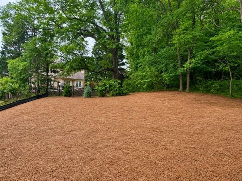 Natural landscape and outdoor views near  in Marietta (Image 42).