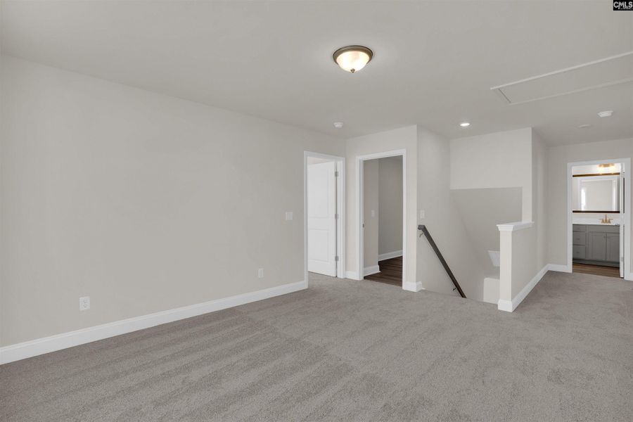 Spacious, unfurnished interior of a new home in Boykin Hills, Chapin (Image 31).