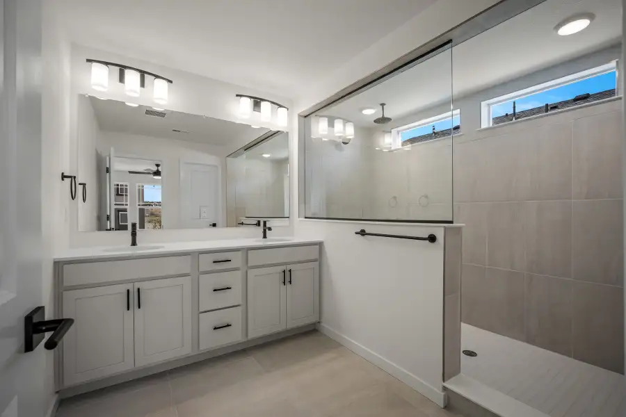 Owner's Bath