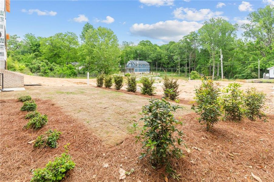 Natural landscape and outdoor views near  in Buford (Image 74).