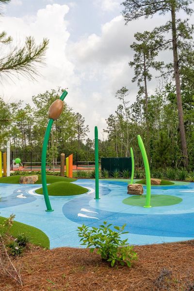 Image 38 of a home in Evergreen.