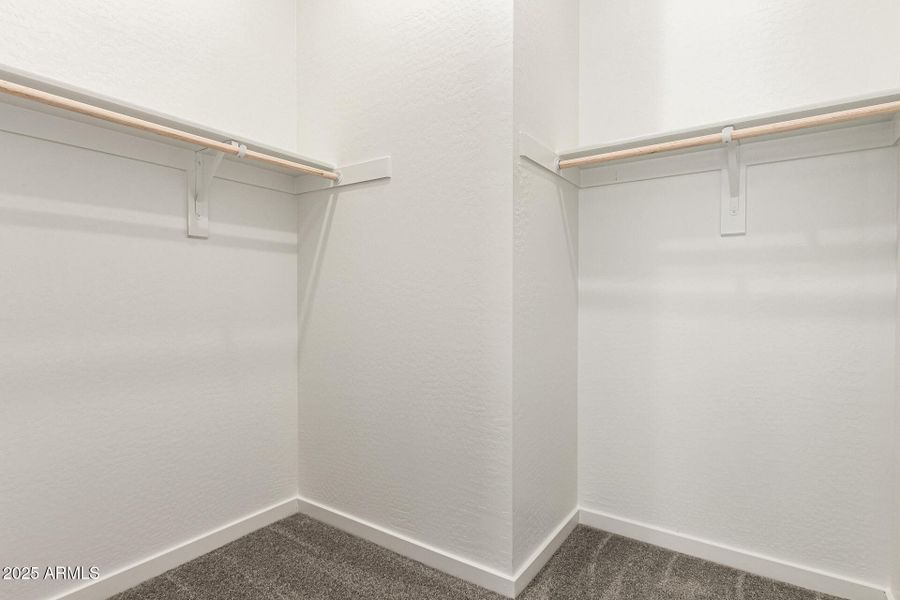 34-Hollyhock 34-Hollyhock