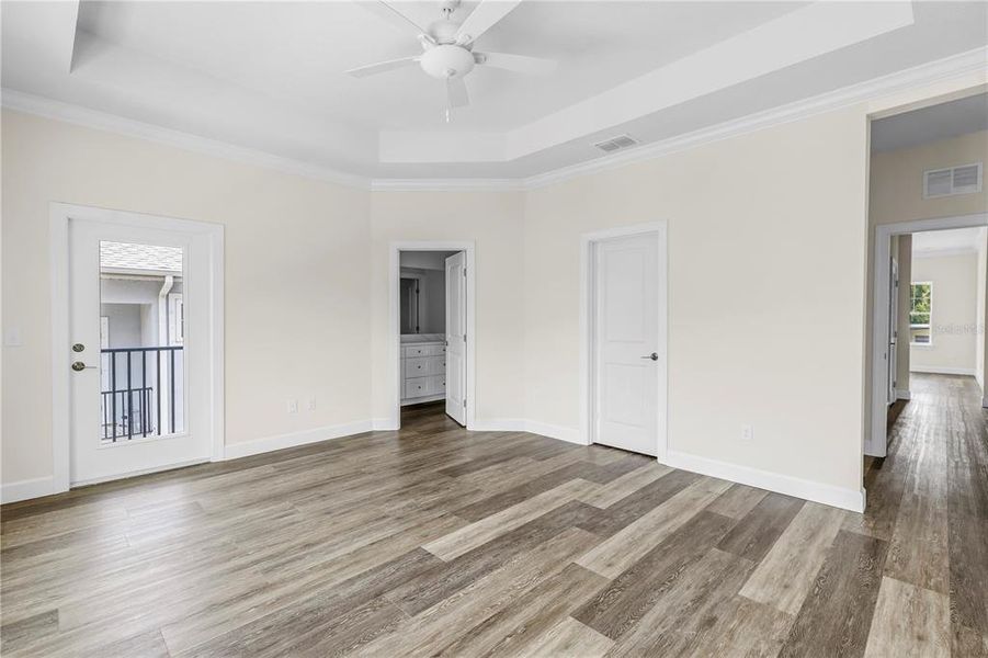 Primary bedroom with tray ceiling.