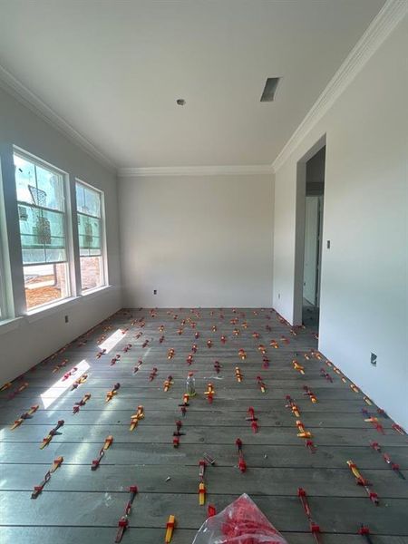 Unfurnished room featuring crown molding and hardwood / wood-style floors