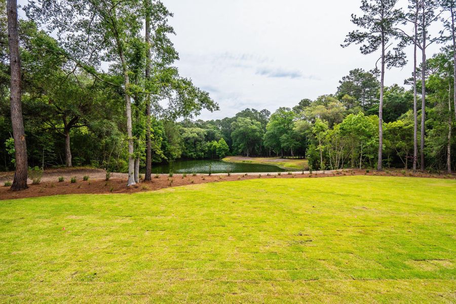 Natural landscape and outdoor views near  in Johns Island (Image 126).