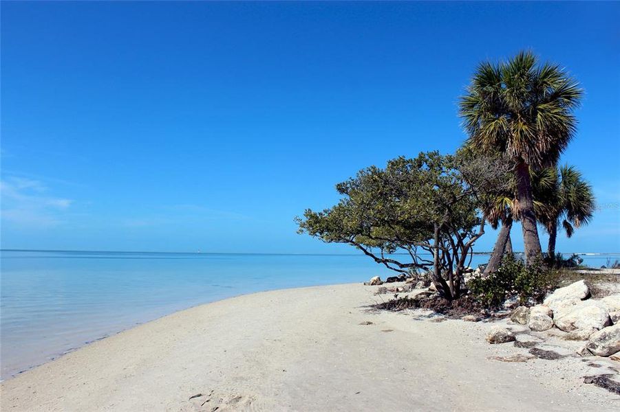 Natural landscape and outdoor views near  in Tarpon Springs (Image 58).