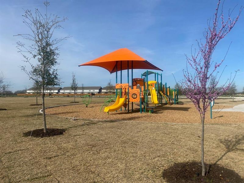 Image 26 of a home in Coyote Meadows. Image 26 of a home in Coyote Meadows.