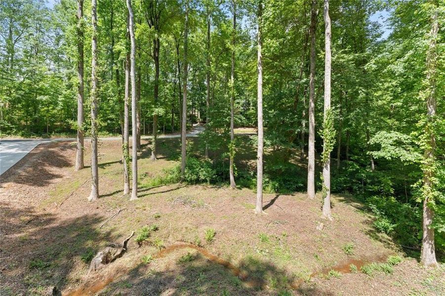 Natural landscape and outdoor views near in Dawsonville (Image 46). Natural landscape and outdoor views near in Dawsonville (Image 46).
