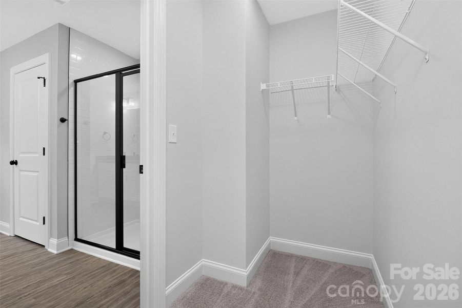Spacious, unfurnished interior of a new home in , Belmont (Image 28).