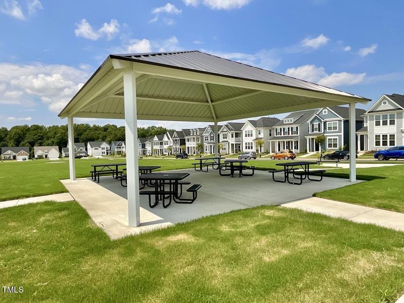 IMG_1111 Large IMG_1111 Large