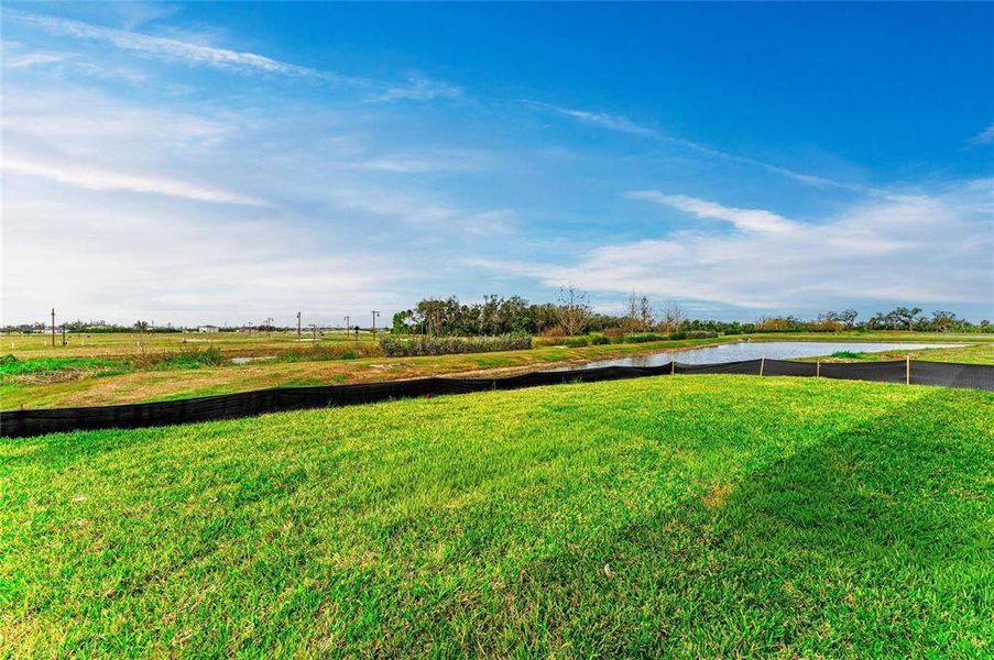 Natural landscape and outdoor views near North River Ranch in Parrish (Image 35).