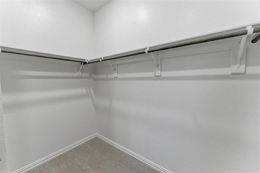 Walk-in closet featuring light gray carpeting, white painted walls, and white shelving with metal hanging rods