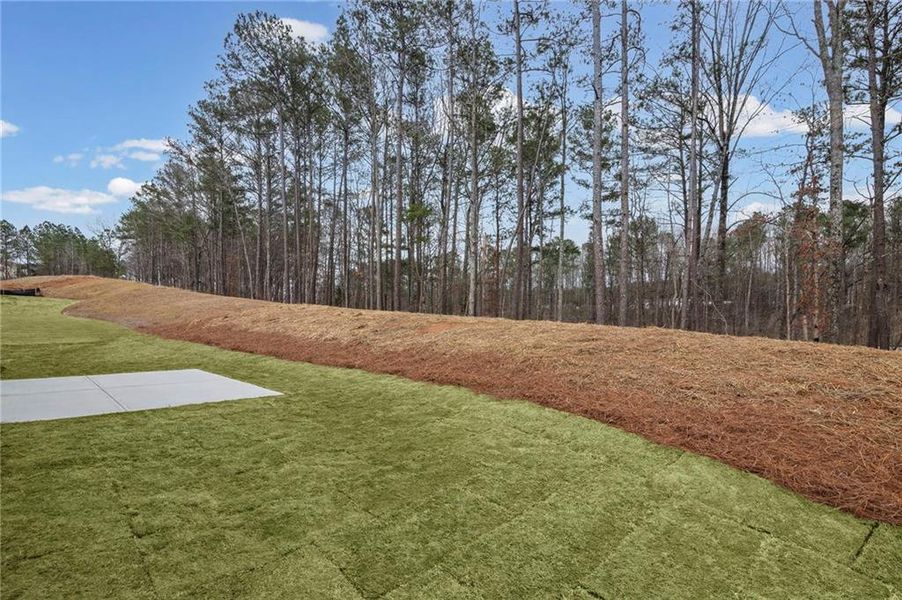 Natural landscape and outdoor views near Sage Woods in Dallas (Image 40).
