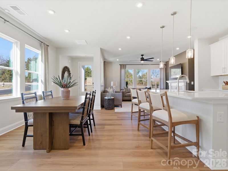 York Plan Model Photos York Plan Model Photos