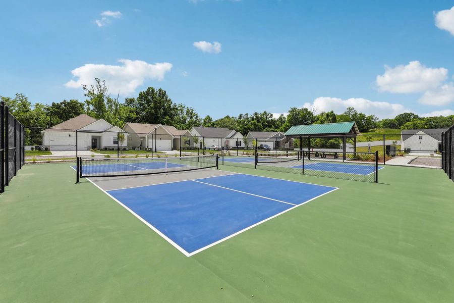 Pickleball Courts