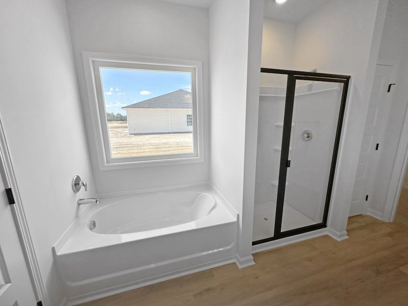 Furnished interior view inside a new home in Doctor's Creek, Ludowici (Image 9).