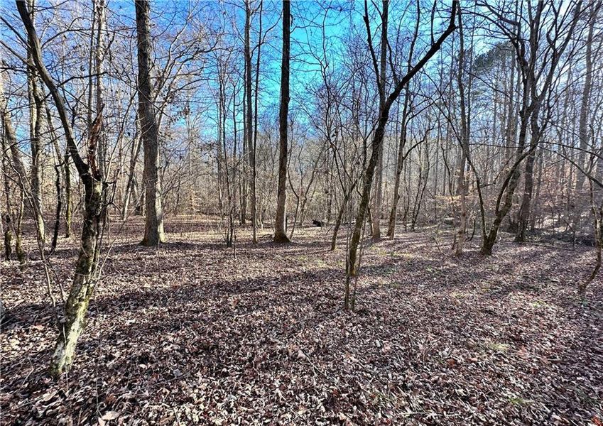 Natural landscape and outdoor views near  in Cumming (Image 22).