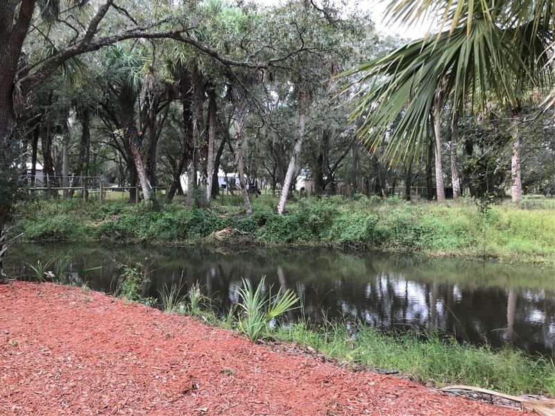 Natural landscape and outdoor views near in Okeechobee (Image 12). Natural landscape and outdoor views near in Okeechobee (Image 12).