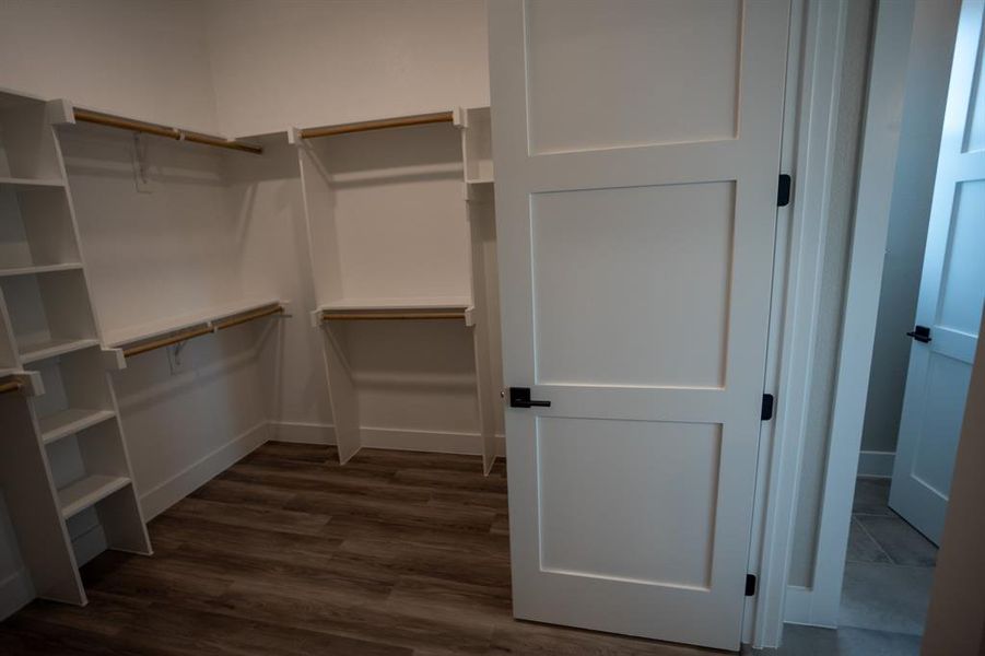 Walk in closet featuring dark wood-style floors Walk in closet featuring dark wood-style floors