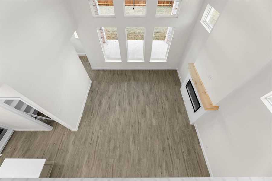 1617 Yorkie - Family (6)