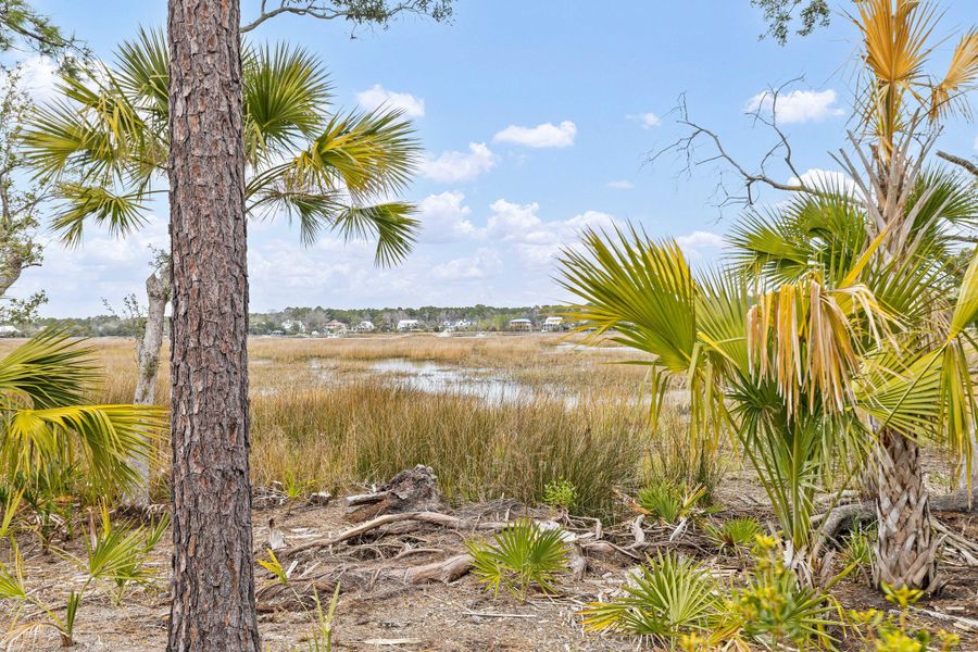 Natural landscape and outdoor views near Carolina Park: Riverside in Mount Pleasant (Image 52). Natural landscape and outdoor views near Carolina Park: Riverside in Mount Pleasant (Image 52).