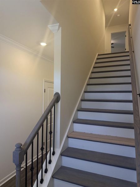 Spacious, unfurnished interior of a new home in Walker’s Trail, Lexington (Image 25).