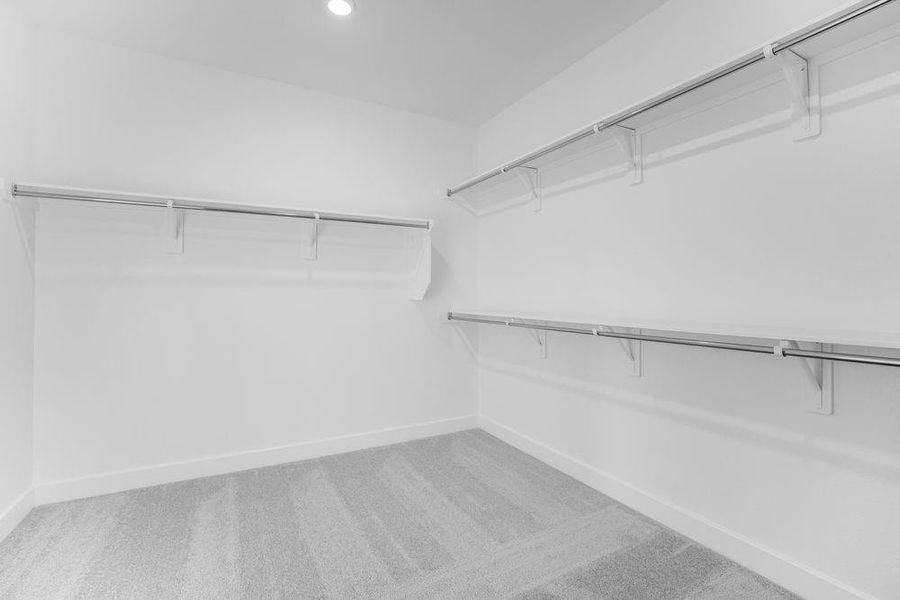 21719 Emerton Crescent Way ~ Ready Now 21719 Emerton Crescent Way ~ Ready Now