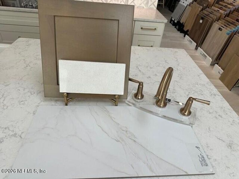 Sample of building materials used in homes in , Ponte Vedra (Image 4).