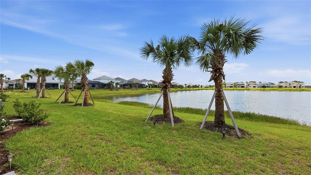 Natural landscape and outdoor views near  in Sarasota (Image 74).