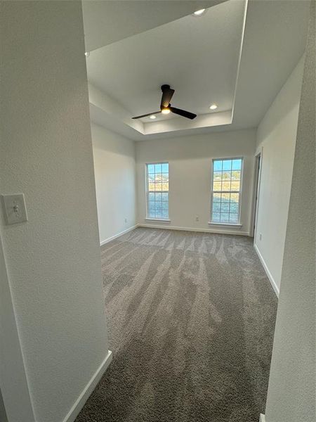 Primary room with carpet flooring, ceiling fan, and a tray ceiling