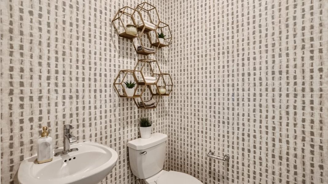 Coriander powder room