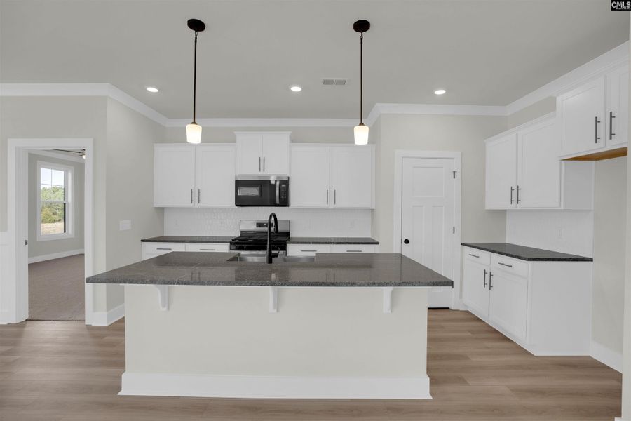 Furnished interior view inside a new home in Old Charleston Acres, Pelion (Image 6).