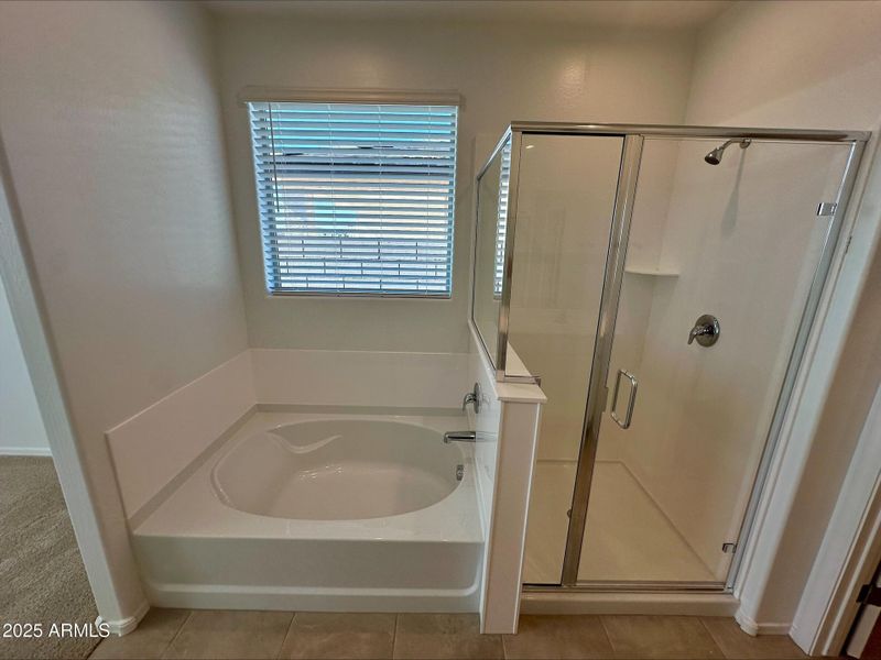 Primary bath Primary bath